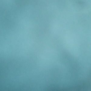 Meet your Posher, Gabrielle